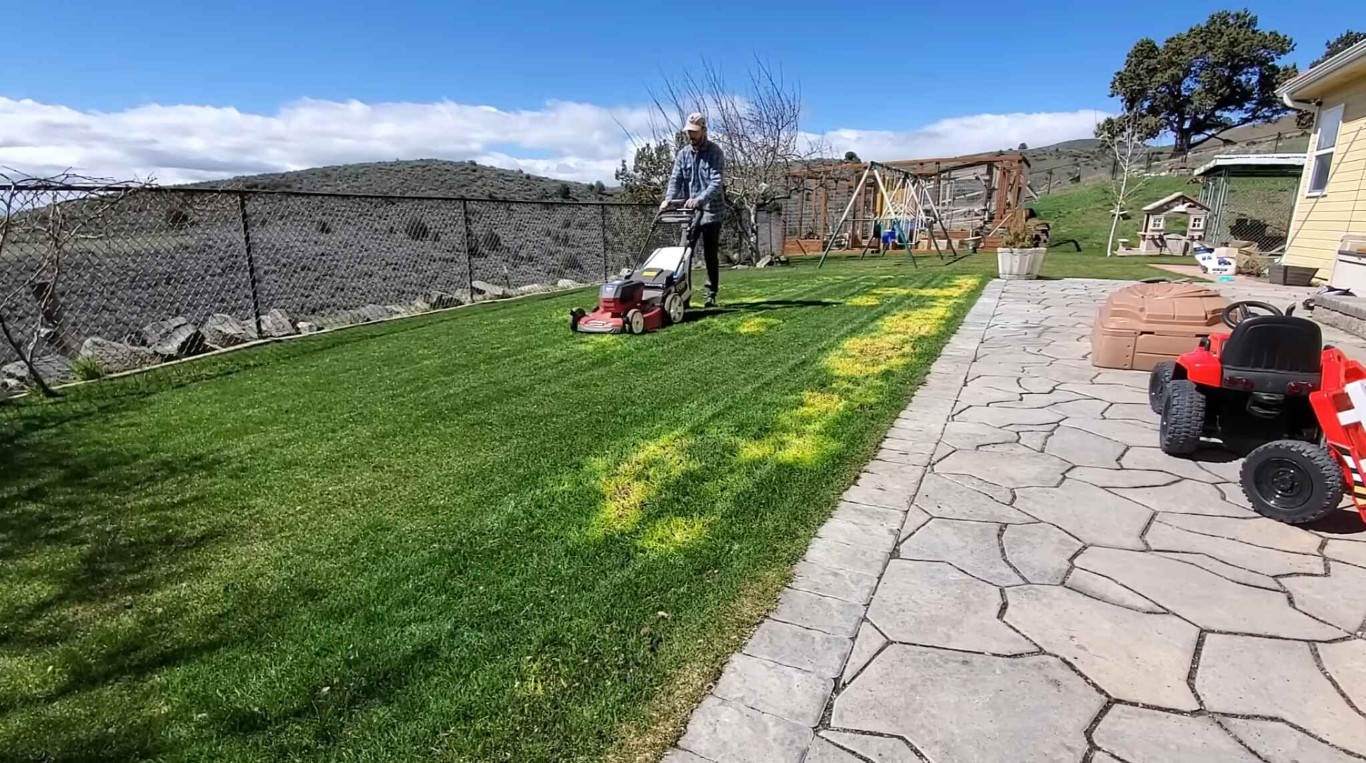 Lawn Care & Maintenance service in Lathrop, CA